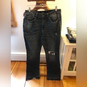 Judy Blue lot of 3! 16W jeans like new